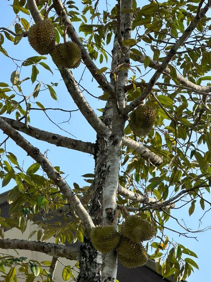 D'Lamar Homestay Pendang Kültér fotó